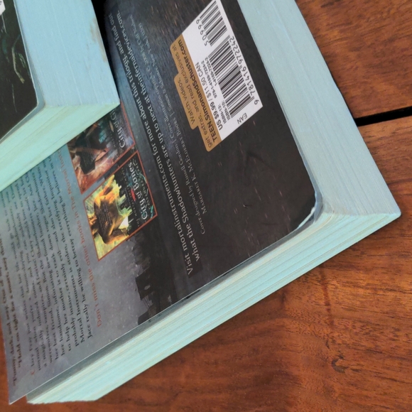The Mortal Instruments Books 1,2 &3 - Picture 8 of 13